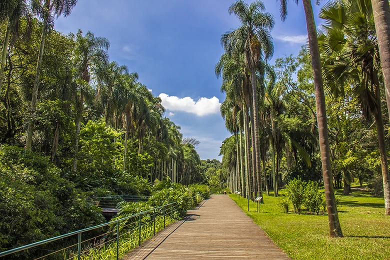 Jardim Botânico SP